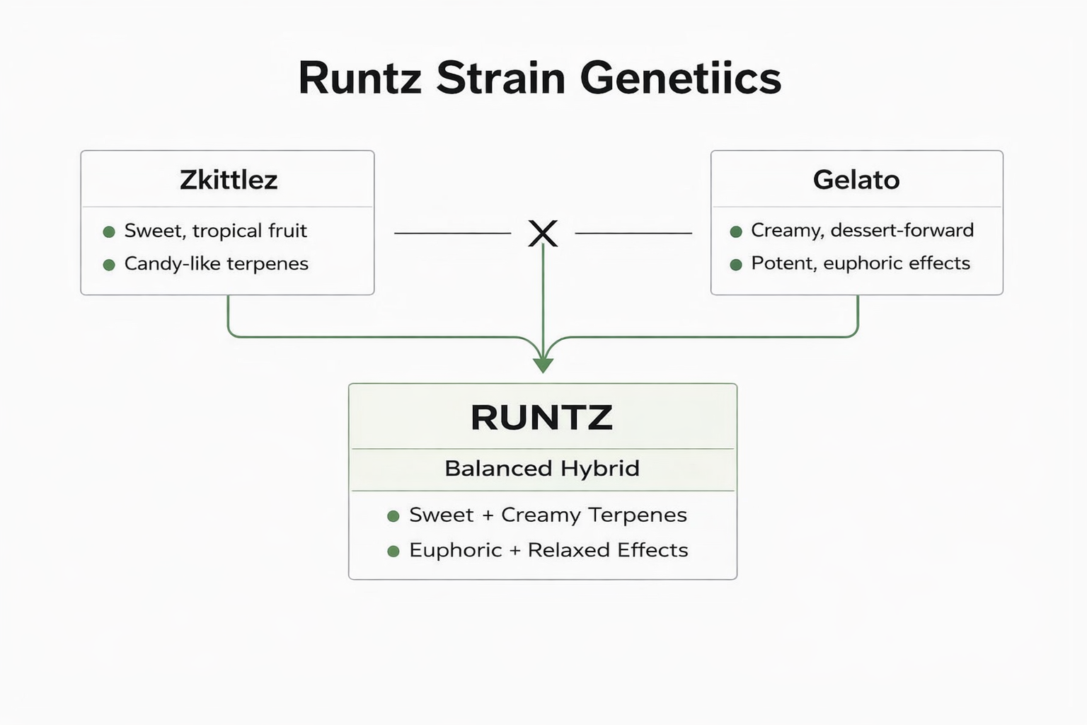 Runtz strain genetics diagram showing Zkittlez and Gelato parent strains combining into a balanced hybrid with sweet, creamy terpenes and euphoric, relaxed effects.